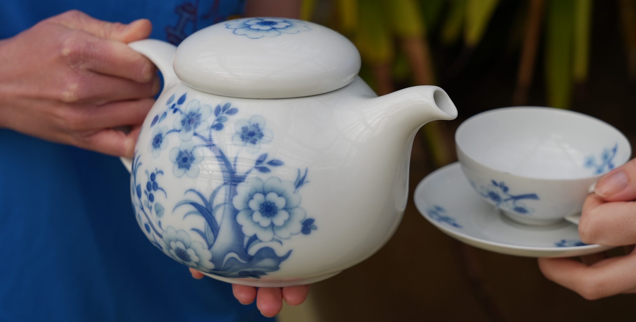 Tee Kräuter Von der Pflanze bis in die Tasse eigene Mischung