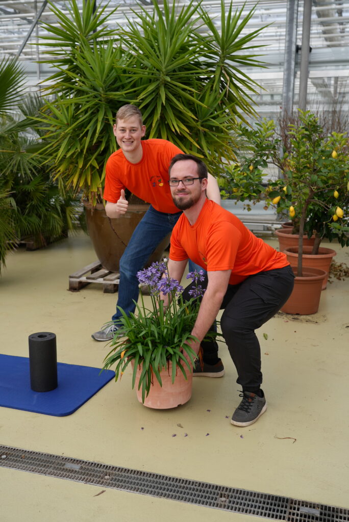 Workshop Team Rückenschule